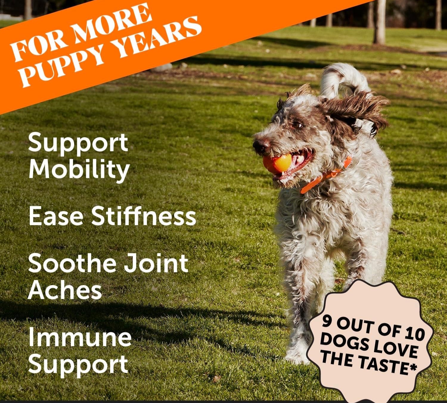 Hip & Joint Turmeric Health - Joint Supplement for Dogs, Omega-3 Fish Oil, Turmeric to Support Overall Health & Ease Stiffness - Advanced Pet Mobility Support - 90 Ct (Pumpkin)