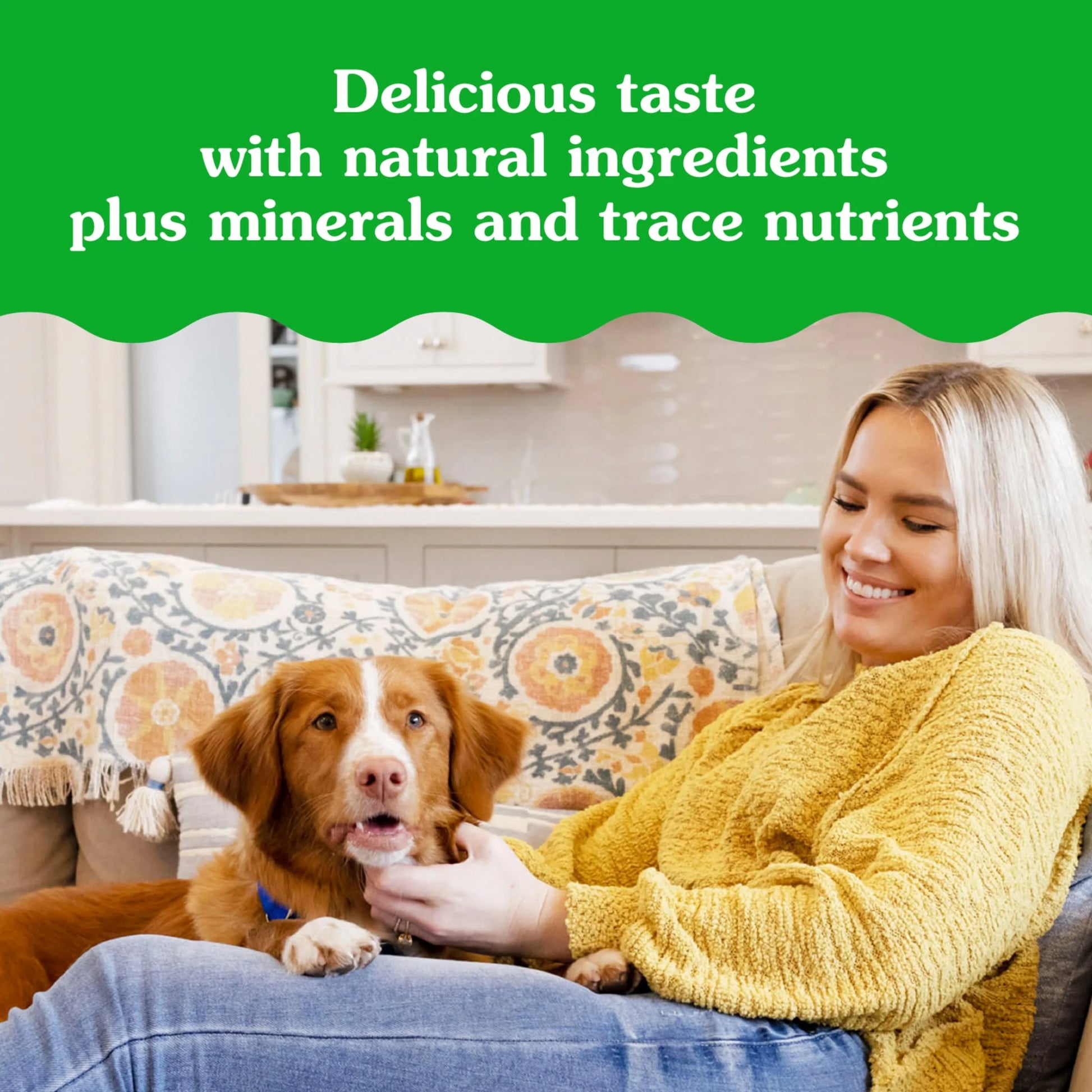Pill Pockets for Dogs Chicken Flavor Large, Capsule Size Soft Dog Treats, 15.8 Oz, (60 Pk)