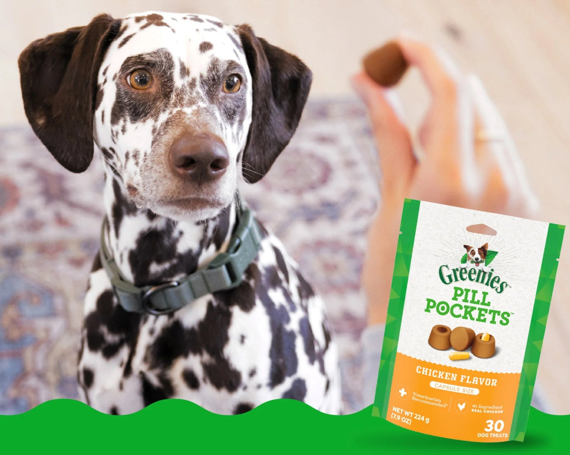 Pill Pockets for Dogs Chicken Flavor Large, Capsule Size Soft Dog Treats, 15.8 Oz, (60 Pk)