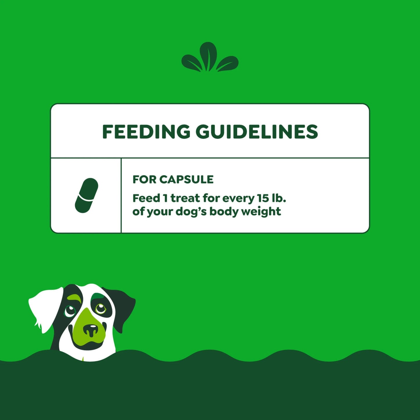 Pill Pockets for Dogs Chicken Flavor Large, Capsule Size Soft Dog Treats, 15.8 Oz, (60 Pk)