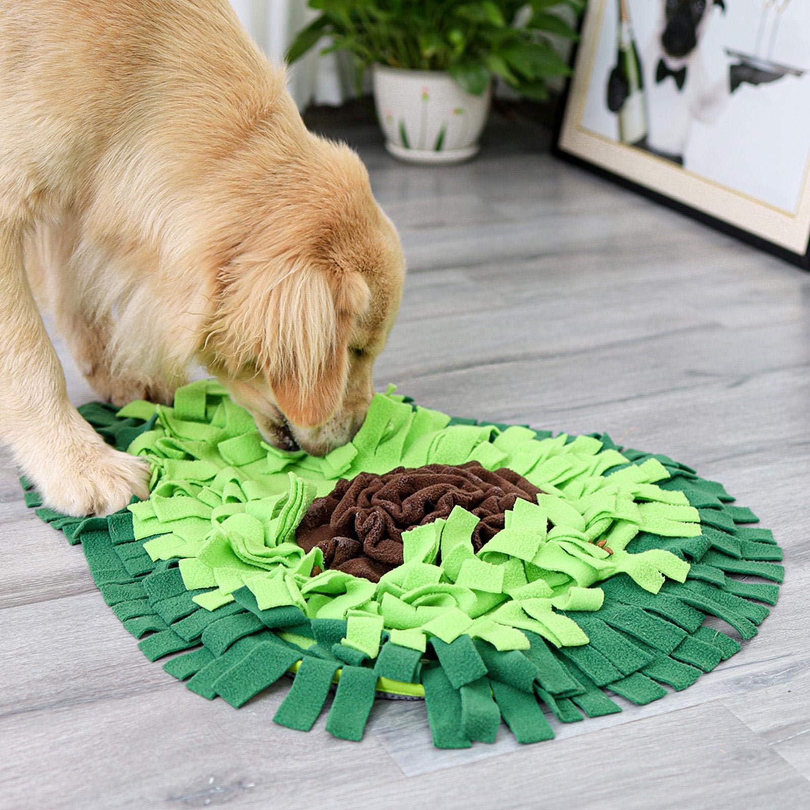 Dog Enrichment Toys: Stop Buying Ones Your Dog Ignores